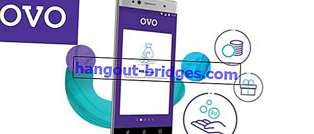 OVOバランス、実用的、アンチリベットを補充する5つの方法！