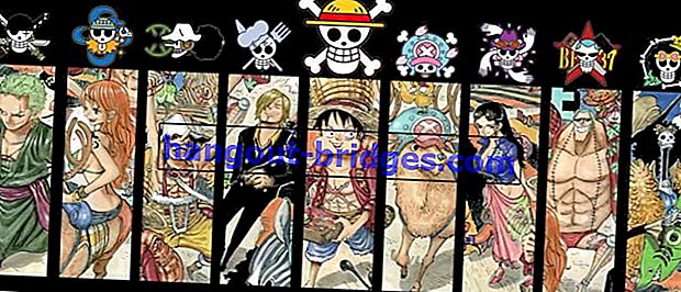 30+ Wallpaper One Piece Terbaik untuk Telefon Pintar dan Desktop anda